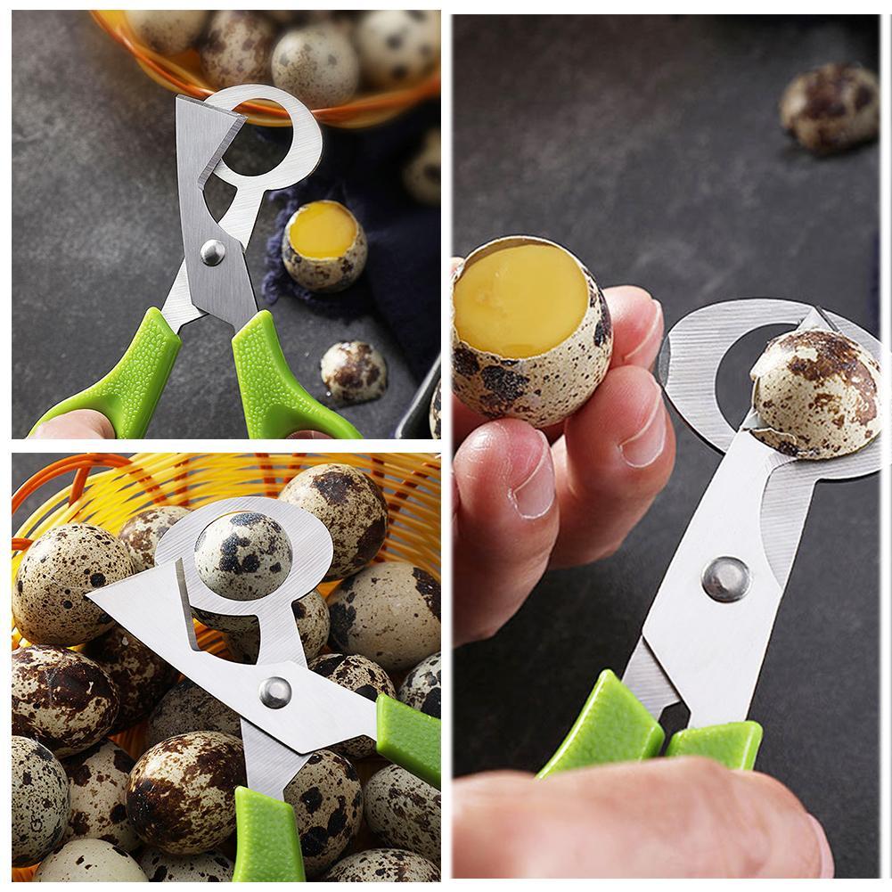 비둘기 메추라기 작은 계란 껍질 가위 커터 새알 껍질  - Egg Separator Tool 리뷰 및 가격